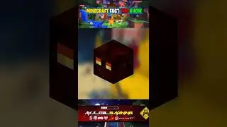 Minecraft Best Facts that you don't know before #shorts #minecraft #factsinhindi