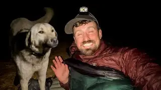 I Slept in a Barn Full of Stray Dogs