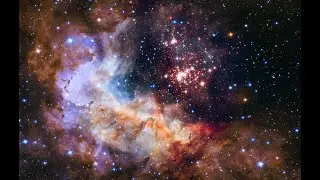 23.07.2021  Работа  с ЦИ Строполос и Селестией 11 пл., Центурионом 9 пл., Хамилией 11 пл.
