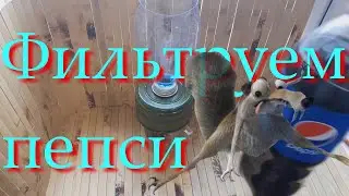 Фильтруем пепси