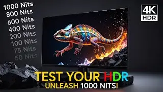 Ultimate 𝗛𝗗𝗥 Test | 0–1000 Nits Brightness Test & Screen Calibration in 4K HDR | OLED & QLED