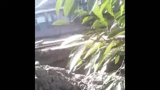 На Левом нет воды. Днепр