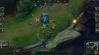 Lee Sin plays on euw server