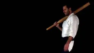 An Insider’s View of Hombu Dojo: Podcast with Guillaume Erard
