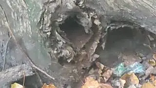Воронеж 01.10.2023.поход выходного дня