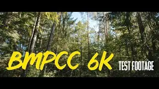 Blackmagic pocket cinema camera 6k. Test footage. Forest.