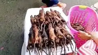 Crono virus spread from here in china.