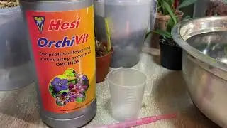 Применение удобрения Orchivit для орхидей.