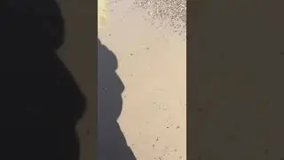 Японский самосвал 5 тонн