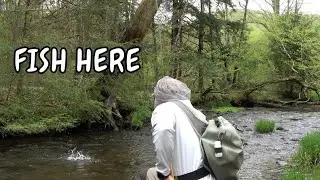 Small Stream Strategy for Wild and Native Trout