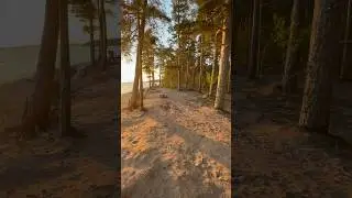 Крутейшее место Ленобласти