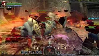 Dragon Nest Логово Минотавра.