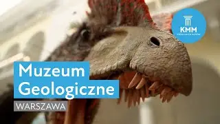 Muzeum Geologiczne, Warszawa