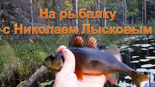Рыбалка сентябрь лесное озеро окунь
