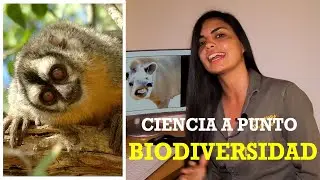 Ciencia A Punto: Biodiversidad
