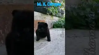 7 июля 2020 г.