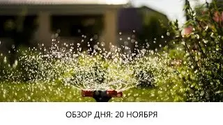 Обзор дня: 20 ноября