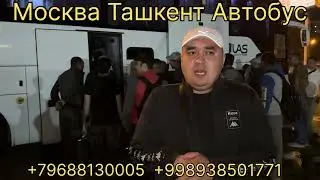 Tashkent Moskva avtobus 2024 ❗️uzbekistan moskva avtobus 2024