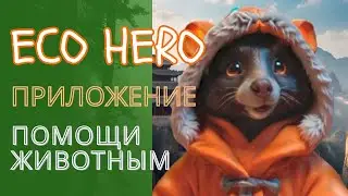 ECO HERO - новое приложение в Телеграм для помощи животным. #ecoheroes #airdrop #play2earn