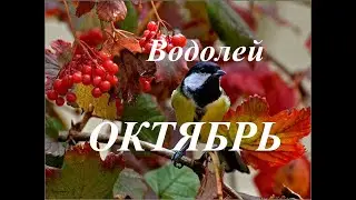 ВОДОЛЕЙ.  ПРОГНОЗ на ОКТЯБРЬ 2023  года. ТАРО. Татьяна Шаманова