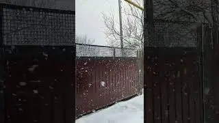 Зима, Снежок 🥶🧊❄