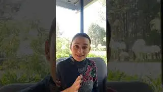 Crianza Pacífica, ¿Cómo llevarla a cabo?