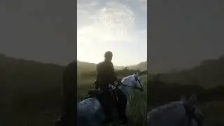 Red dead redemption 2 enjoying the view ❤️