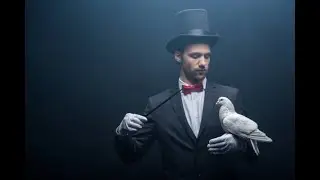 Голубь чётенько сдох! | Культурный перевод без матов