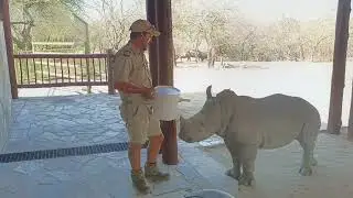 Can you donate a milk feed for Angie?