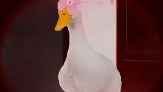 IT'S ALWAYS WATCHING!