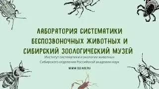 Лаборатория систематики беспозвоночных животных и Сибирский зоологический музей ИСиЭЖ СО РАН