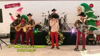 El Angel del Corrido - La muerte de Lucero #video #musica #trending #trend #viralvideo #viralshorts