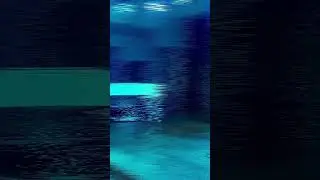Пропажа #концертынакмв #музыка #музыка2024 #music  ты моя