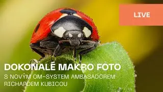 Czech | Dokonalé makro foto s novým OM SYSTEM ambasadorem Richardem Kubicou