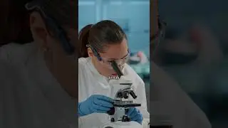 Por qué los niveles de TESTOSTERONA han bajado en los últimos años y cómo solucionarlo