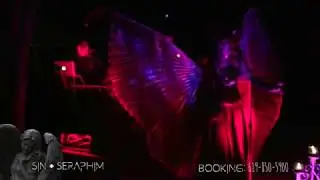 Sin + Seraphim (Sample Video)