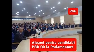 Olt. PSD Olt și-a ales echipa cu care va merge la Parlamentarele din acest an