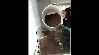 akvaryum tasarım değişikliği