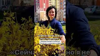 «Сейчас весна, но я не могу ее увидеть»