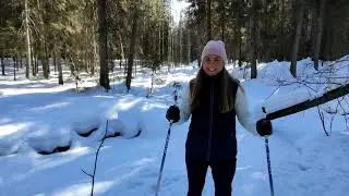 Лыжная прогулка по весеннему лесу.