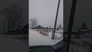 Заозерный Лебедева
