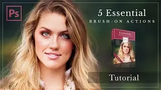 5 Essential Brushes Tutorial from Ashlyn Mae Photography