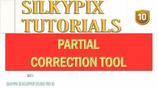 PARTIAL CORRECTION TOOL  IN SILKYPIX DEVELOPER STUDIO PRO 10