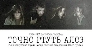 Мумий Тролль: Хроника записи альбома "Точно Ртуть Алоэ" (2000)