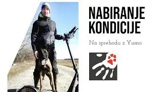 Na sprehodu: Dan za kondicijo