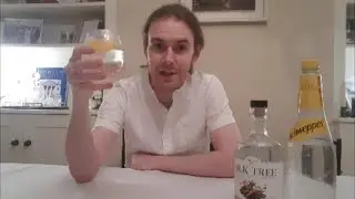 Alcohol Free Gin? - Silk Tree Review