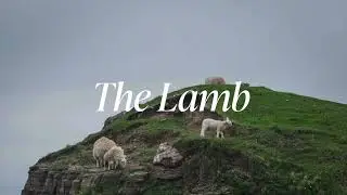 The Lamb