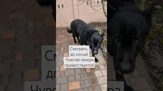 Ответ хейтерам! Без чувства юмора не смотреть!