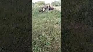 19 июля 2023 г.