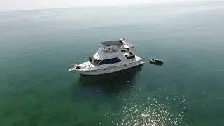 Кинбурнская коса 2020